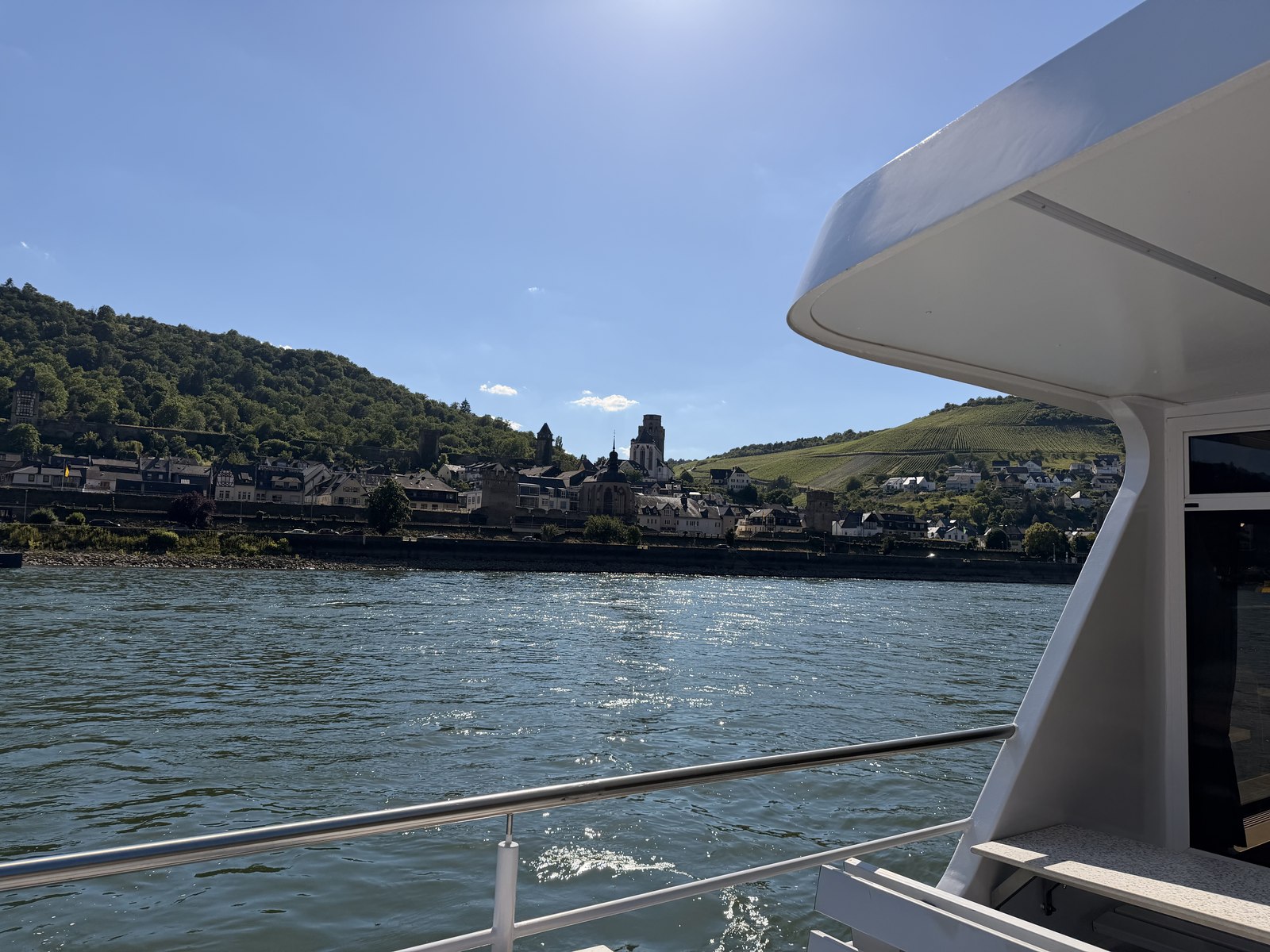 Impression vom Sommerfest 2026 der Plantafood Medical auf dem Rhein.