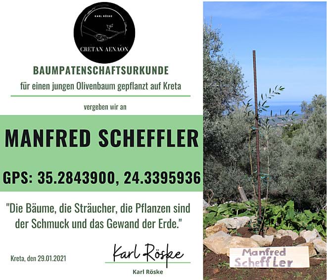 Baumpartenschaftsurkunde für einen jungen Olivenbaum 2021 gepflanzt auf Kreta